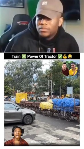#mecchachameleon