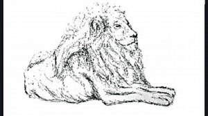 Array Yoga Studio / Lionflow Yoga HQ