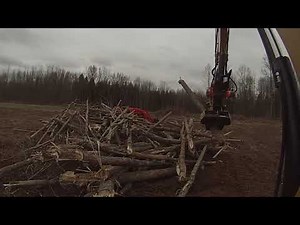 Working With The CAT Excavator and DyMax Tree Shear 20210327