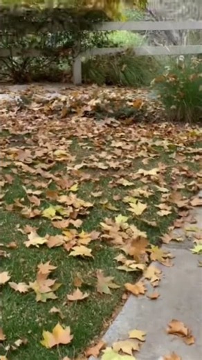 Hello autumn