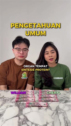 Seru! Baru Maen Game Coin Family