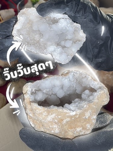 ก้อนนี้คริสตัลวิ๊บวัํบสุดๆ แม่ค้าถึงกับตกใจ !! ใครอยากดูทางร้านเคาะหินสด ๆ เจอกันได้วันจันทร์ - ศุกร์ เวลา 12.00น. - 17.00น. ได้เลยค่าาา #quartzcrystal #quartzcrystals #quartzgeode #หินนําโชค #สินค้าแปลกใหม่ #แปลกใหม่ #หินมงคล #หินคริสตัล #หินมงคลหินนําโชค #คริสตัล #มูเตลู #amethyst #อเมทิส #หิน