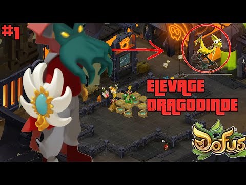 [DOFUS] TUTO #1 ELEVAGE DE DRAGODINDE