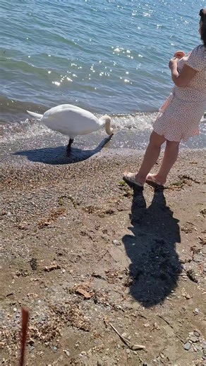 Dani Lin makeup artist (@danicalingovska)’s videos with Reggae Island - Julian Angel and Chiko U