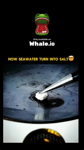 Great minds🧠 on Instagram: "Seawater naturally contains dissolved salts, primarily sodium chloride, along with other minerals. Turning seawater into edible salt is a process as old as human civilization. The most common method is evaporation. Seawater is collected in shallow ponds called salt pans and left under the sun. Over time, the water evaporates due to heat, leaving behind concentrated salt crystals. In some places, wind and heat help speed up evaporation, while in industrial setups, sea
