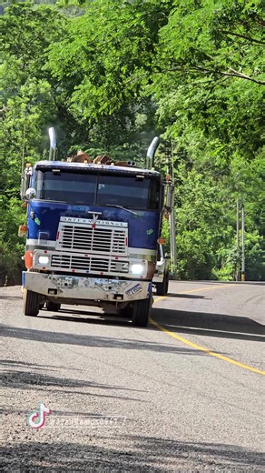 Freightliner Century lecheros e International 9670 XL maderero desde Yoro