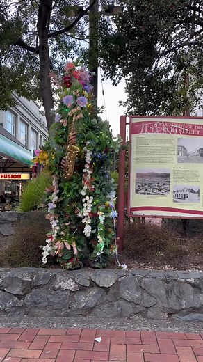Meet Wellington’s iconic tree spreading joy and smiles to our little city! Find Woody on Cuba Street and say Kia Ora! 💙💙 #wellington #wellingtonnz