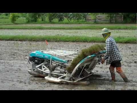 Planting Rice By Machine