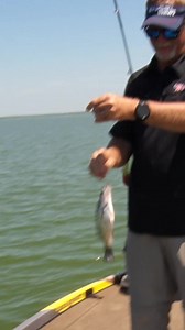 3.6K views · 40 reactions | CRAPPIE CATCHING Sometimes fishermen joke, "there's a reason it's called fishing and not catching." Well, on some days...when the fish are biting, the catching part is pretty fun! #BassProShops #RangerBoats #EngelCoolers #SeriousCool #SunlineAmerica #Fishing #CrappieFishing | Fisherman's Handbook | Facebook