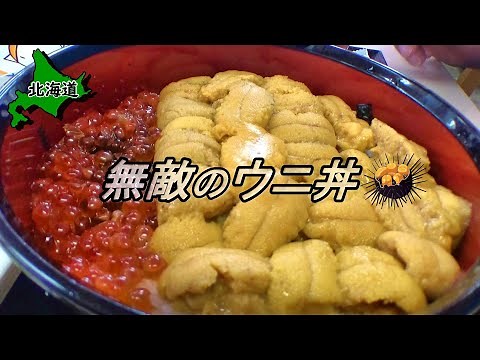 【北海道飯】無敵って何なの？ノシャップ岬の人気食堂で無敵のウニ丼を喰う【樺太食堂】【#49 カブトレーラー旅2022】