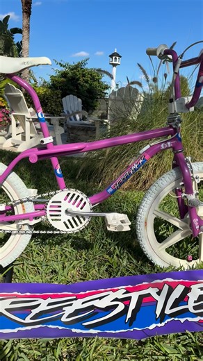 BMX Freestyle Fanatic (The Real) on Instagram: "1987 GT Pro Performer “Survivor” 💜💜#bmx #oldschool #freestyle #gtbikes #instagood"