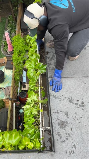 Silverlight Windows & Eaves Cleaning Toronto on Instagram: "Eavestrough Cleaning Toronto & GTA Silverlight Visit https://silverlightwindowsandeaves.ca￼ Eavestrough Cleaning Toronto & GTA by Silverlight keeps your gutters flowing and your home protected all year long. We clear out leaves, debris, and buildup by hand, flush downspouts, and make sure your system works smoothly — preventing water damage before it starts. Protect your home today — get your free quote! Call Now: (416) 827‑8949 #Silver
