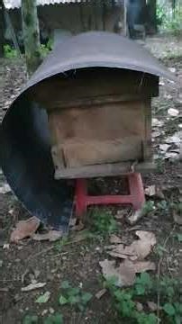 sandpaper for covering beehives