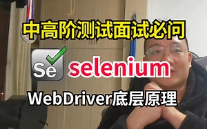 selenium极简入门！全面透彻解析webDriver底层原理 基础到进阶一次带你搞懂中高级测试面试必问题！