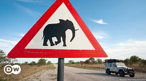 Namibia: access for elephants