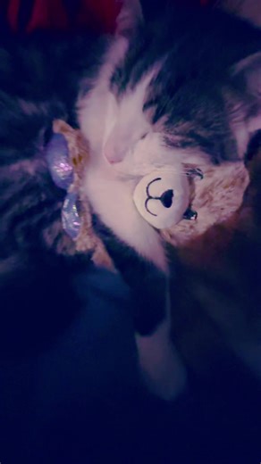 «Jimin‘s wife jiminshiii 🇰🇷 (@gileyshka.davis)’s videos with Lush Life - Zara Larsson