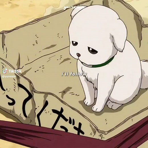 Sadaharu and Gintoki in Gintama Anime