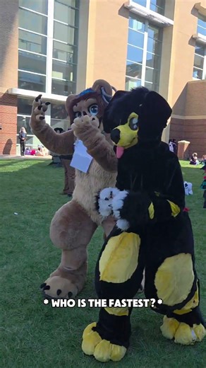Furry Sports 😂@LyzzTheLioness @awashing.machine #Furry #furries #fursona #fusuiter #furryfandom