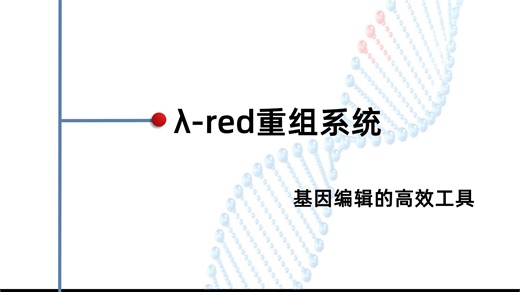 不用限制性酶切！λ-Red如何实现精准基因重组