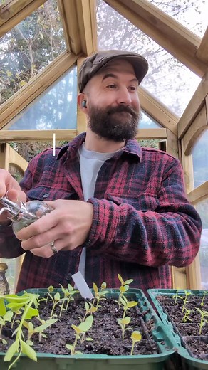 Does anyone actually know what they're doing when it comes to gardening?! #gardentok #gardentherapy #gardenfun #aboutme #gardening