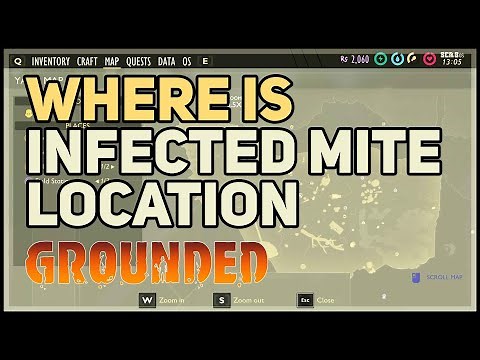 Grounded Infected Mite Location (Fungal Growth, Bomb)