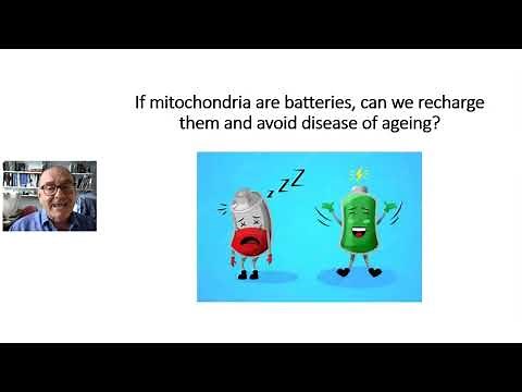 Light therapies to improve declining eyesight with Prof. Glen Jeffery