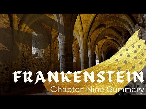 Frankenstein: Chapter Nine Summary￼