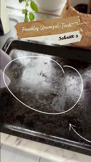 🕸️ Backofen effektiv reinigen mit proWIN Burnex – Schnell & gründlich! #cleaning