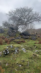Real Celtic moments from the Isle of Skye Scotland #originalmusic #composer #celtic #celticmusic #isleofskye #isleofskyscotland #scotland | Fiona Joy Hawkins