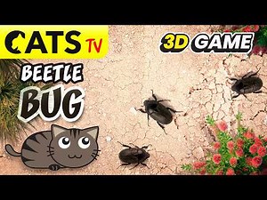 📺 CATS TV 😻 3D beetle bug 🪲 Ultra realistic game for cats 🔊 3D Sound