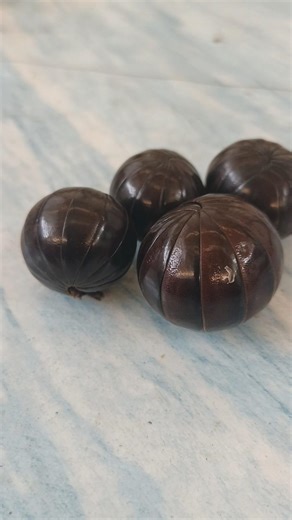 Cute animals gather #pillmillipede #millipedeworld #shorts