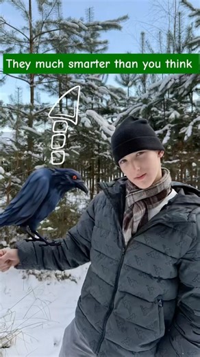 Crow, as the most smart bird in the world #english #motivation #biology #science #birds#facts#nature