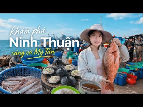 Ninh Thuan Travel - Exploring the Bustling Fishing Port, Scuba Diving, and Spotting a Lionfish