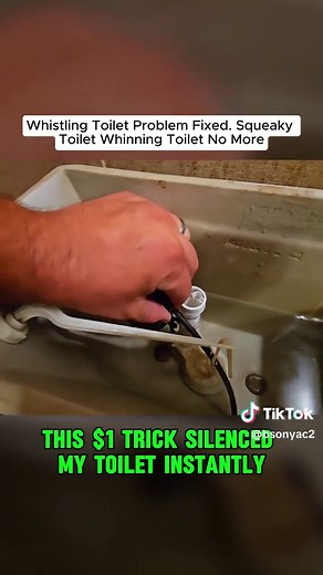 Whistling Toilet Problem: Simple Fix Explained