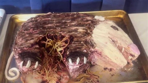 Contestants compete for ugliest cake honors at 2025 Iowa State Fair