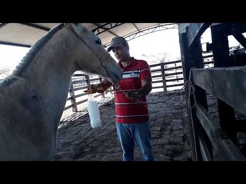 Aprenda a preparar e aplicar o butox corretamente