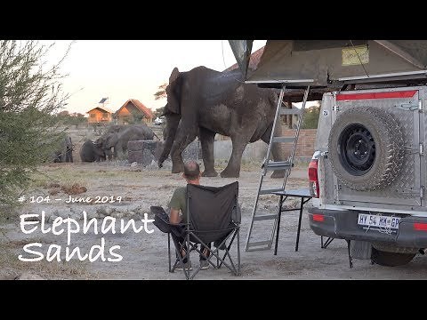 Elephant Sands Lodge and Campsite - Botswana