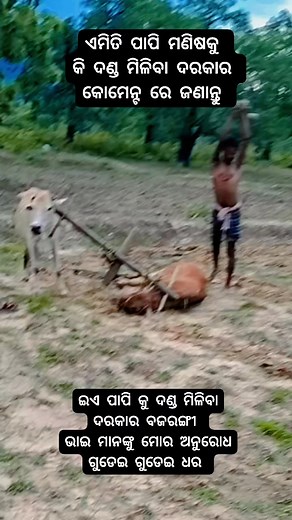 777K views · 2.9K reactions | Ten Unknown Facts About #BMW 1....