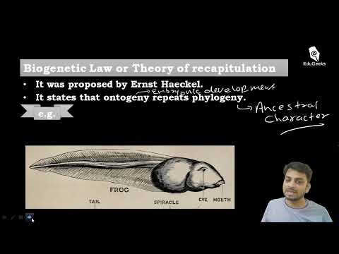 Biogenetic Law or Theory of Recapitulation - Evolution | Class 12 Biology | NEET