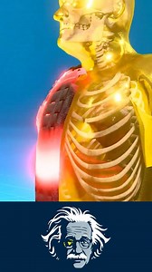 128K views · 529 reactions | Kevlar is one of the toughest materials...