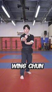 455K views · 6.7K reactions | Karate vs Wing Chun. See anything relevant? #wingchun #karate #foryou #wushu #kungfu #martialarts | Kevin Lee | Facebook