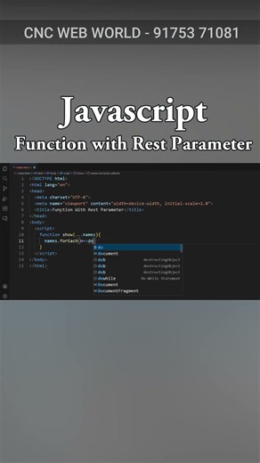 Javascript - Function with Reset Parameter #frontendcourse #coding #computer