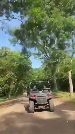 Cruise excursion to Yaaman Adventure Buggies in Falmouth Jamaica with Royal Caribbean