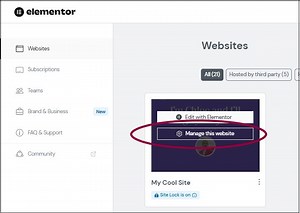 Privacy mode | Elementor