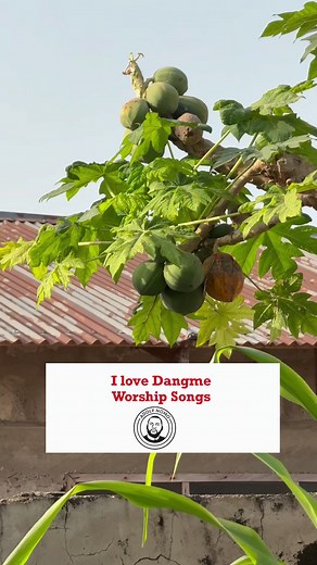 Inspirational Awetsɛ Gospel Song by Noah Ayin