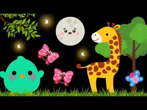 Baby Sensory Video - Tummy Time - Sensory Videos for Babies - Visual Stimulation for Newborn #baby