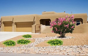 Best Heat Tolerant Shrubs for Desert Landscapes - Signals AZ
