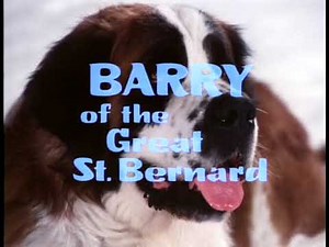 Barry of the Great St Bernard (1977) The Wonderful World of Disney