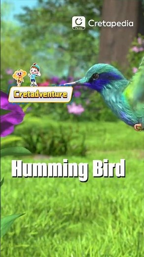 How does Humming Bird Fly?