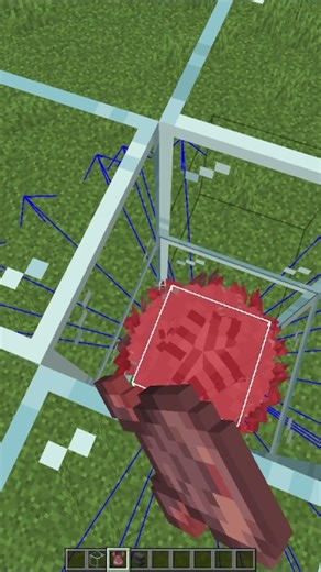 Armadillo vs 1 Anvil – Can an Armadillo Break the Ultimate Test? #shorts #minecraft